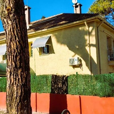 Hostal Aravaca Garden Мадрид Екстер'єр фото